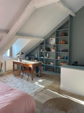 Grande chambre indépendante, charme, calme sur jardin, Nantes centre, accès privé par escalier de l'immeuble, sdb & wc privés, 10 minutes gare et palais des congrès